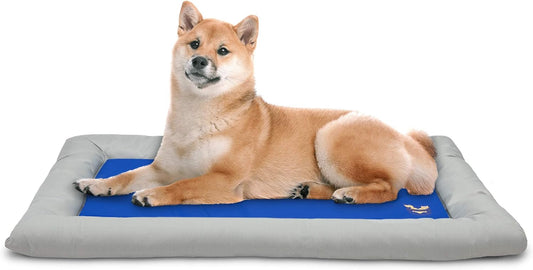 Dog Self Cooling Bed Pet Bed – Solid Gel Based Self Cooling Mat for Pets, Includes a Foam Based Bolster Bed for Extra Comfort