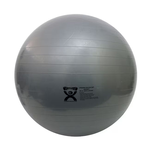 Inflatable Stability/Exercise Ball